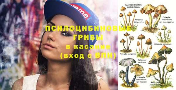 бошки Каменногорск