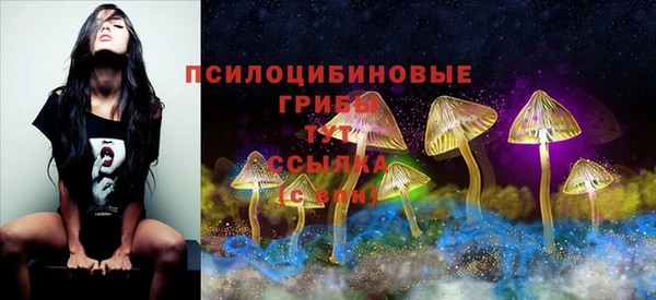 бошки Каменногорск