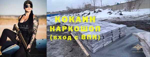 бошки Каменка