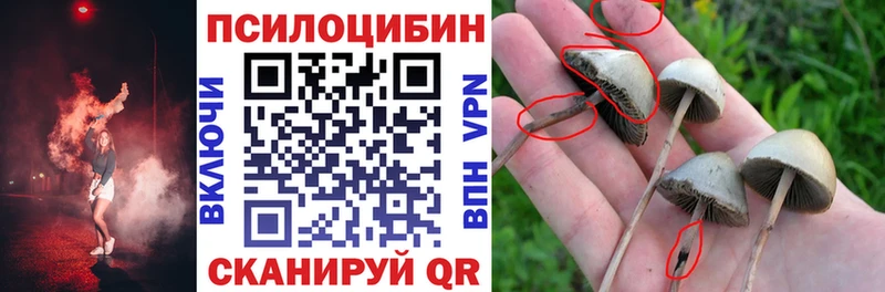 Псилоцибиновые грибы GOLDEN TEACHER Куровское